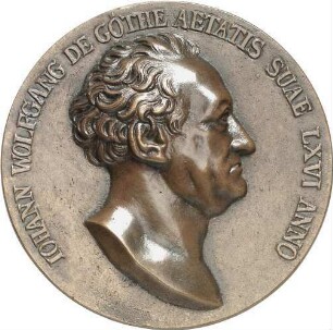 Schadow, Johann Gottfried: Johann Wolfgang von Goethe