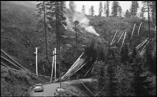 Freiburg: Holzfällen am Schauinsland