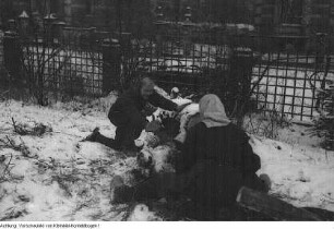 Dresden. Stukenroden für die frierende Bevölkerung im Winter 1946/47, 1947