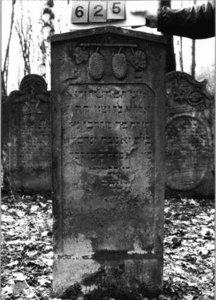 Grabstein 625 (Index: 99752506) Material: Sandstein Zustand: abgeblättert mit Textverlust Maße HxBxT: 128x51x12 cm Beschreibung: Stele, giebelartiger Abschluß mit Verdachung, rechteckiges Schriftfeld mit angeschrägten Ecken Symbolik: zwei Pinienzapfen, Blätter: Grabstein 625