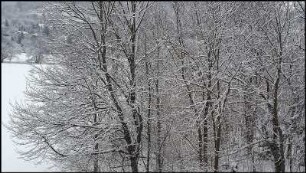 Winter #02
