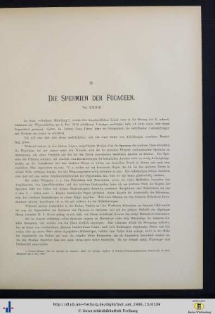 Die Spermien der Fucaceen.