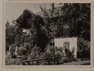 Haus in Aussee, Obertressen 6, bewachsene Hauswand, Wäsche über dem Geländer, Bäumchen im Vordergrund