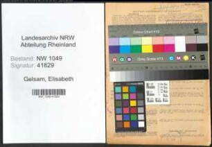 Entnazifizierung Elisabeth Gelsam , geb. 17.05.1909 (Haendlerin)