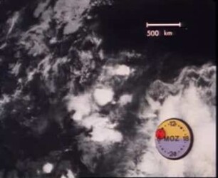 Cirrus Shields in Thunderstorms