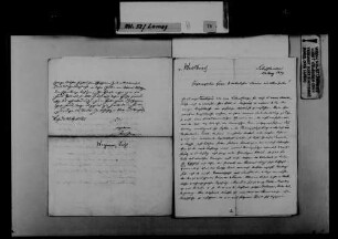 Schreiben von A. von Waldkirch-Ringk, Schaffhausen, an August Lamey: Furcht vor den politischen Verhältnissen in der Schweiz.