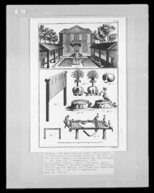 Encyclopédie, ou Dictinaire raisonné des sciences, des arts et des métiers. Recueil de planches sur les sciences et les arts III. — Darstellung zur Haltung und Pflege von Jagdfalken