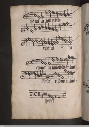 Joannes Hallenwin : Resonet in laudibus