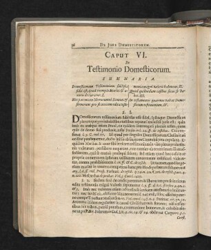 Caput VI. De Testimonio Domesticorum.