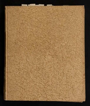 Dissertatio Inavgvralis Medica De Morbis Venereis Larvatis