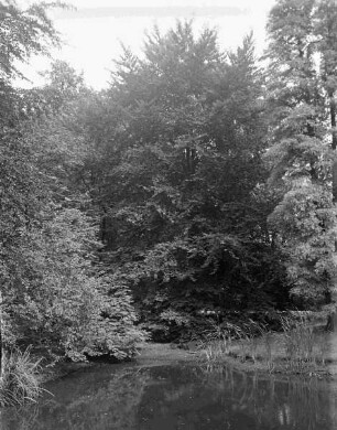 Parklandschaft