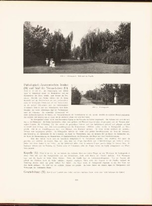 Rudolf Virchow-Krankenhaus, Berlin: Ansichten Erholungspark mit Kapelle (aus: Neubauten der Stadt Berlin, Bd. VI, 1907)