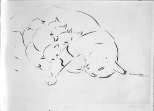 Katzenmutter. Tuschezeichnung (1938; E. Richter). Dresden-Südvorstadt, Eisenstuckstraße, Atelier der Künstlerin
