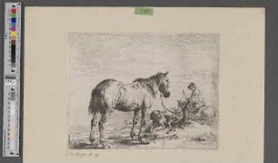 [Ein angebundenes Pferd]