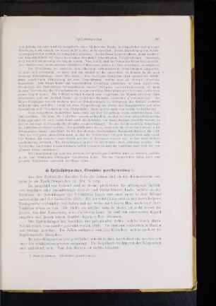 d) Epithelkörperchen, Glandulae parathyreoideae.