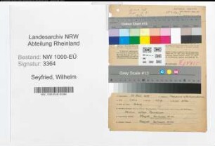 Entnazifizierung Wilhelm Seyfried, geb. 25.09.1889 (Ingenieur)