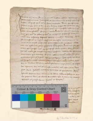 Gerhard Ryke, notarius publicus und Kleriker der Diözese Kammin, beurkundet die Verschreibung des Jakob Hildebolt, Kleriker seiner Diözese, für Johann Rosenow über 2 Gulden.