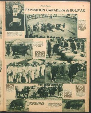 Exposición ganadera de Bolivar [Fotografías]