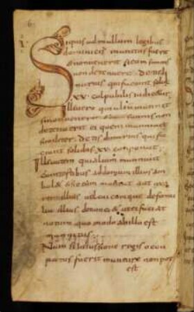 Lex Salica, Lex Ribuaria, Lex Alamannorum, Summula de bannis - Staatsbibliothek Bamberg Msc.Jur.35