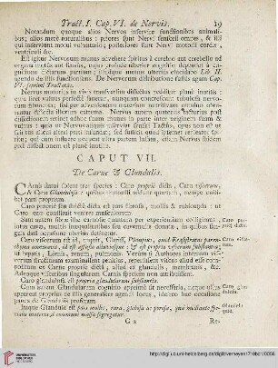 Caput VII: De Carne et Glandulis