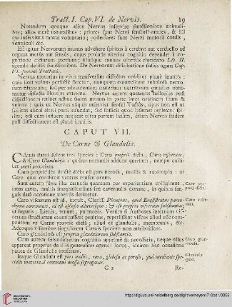 Caput VII: De Carne et Glandulis