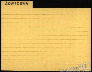 LONICERA: Allgemein
