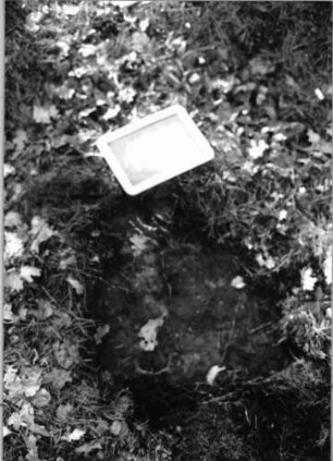 Grabstein 144 (Index: 100090441) Material: Sandstein Maße HxBxT: 0x0x0 cm Beschreibung: Fragment: Grabstein 144