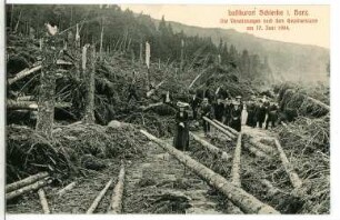 Schierke. Waldverwüstungen nach Gewittersturm