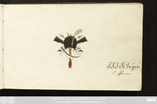 Denkmahl der Freundschaft : Stammbuch J. J. J. Krüger
