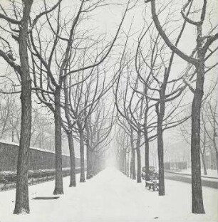 Ohne Titel (Allee Edgar Quinet, Paris)