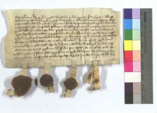 Lehenrevers des Salmann auf vorstehende Urkunde (U / 1321 Juni 26 / I). 5 S.: Schultheiß Emercho, die Richter Nikolaus, Volkmarus und "Tulmannus Scherpel", und der Aussteller. "Datum 1321 VI. Kal. Julii".