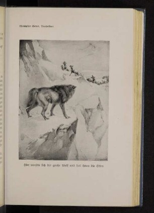 Hier wandte sich der große Wolf und bot ihnen die Stirn