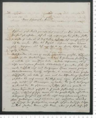 Brief von Carl Friedrich Philipp von Martius an Adelbert von Chamisso