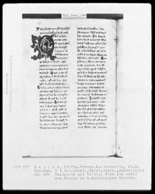 Neutestamentliche Schriften, Bibliorum sacrorum pars finalis — Initiale N(on ita ordo), Folio 43verso