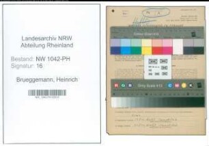 Entnazifizierung Heinrich Brueggemann , geb. 25.08.1910 (Tierarzt)