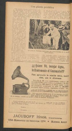 Una planta profética