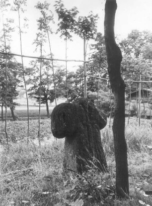 Steinkreuz : Königsbrück, Steinkreuz mit eingeritztem Schwert (D 127)