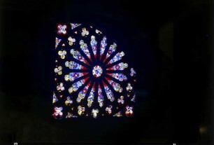 Freiburg: Freiburger Münster, Fenster-Rosette