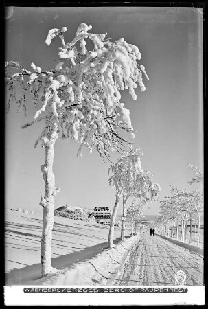 Altenberg im Erzgebirge, Berghof Raupennest mit Schnee