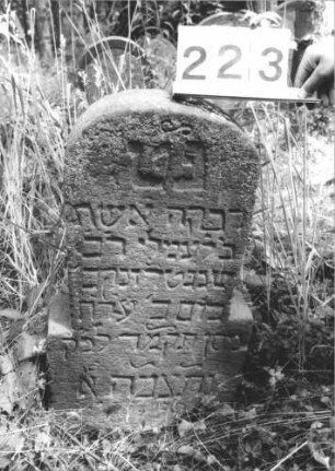 Grabstein 223