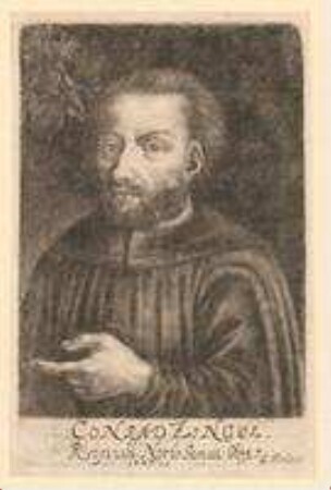 Conrad (II.) Zingel, Ratsherr; gest. 1447