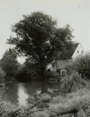 Niedergurig, Bauernhaus und große Bruchweide am Fischteich