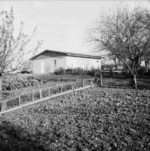 Kleingartenanlage: Am Hohenkamp: Kleingartenverein Hohenkamp e.V.: Vereinshaus: vorn Garten mit umgegrabenem Beet, Grünkohl, Zaun, Bretterstapel, Bäume