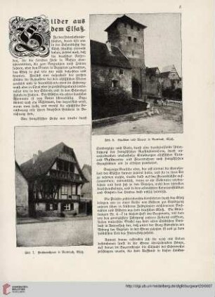 20: Bilder aus dem Elsaß