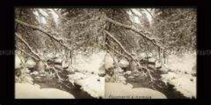 Bach im Winter bei Hernsen