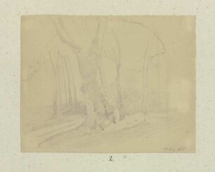 Alter Baum in einer Reihe junger Bäume
