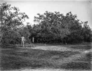 Kolonialsoldat vor waldartiger Vegetation (Ostafrika-Reisen Uhlig 1901-1910)