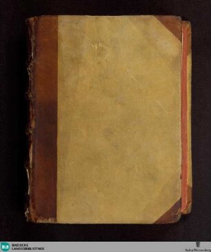 Enchiridion doctorum ecclesiasticorum - Cod. Schwarzach 4