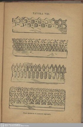 Tavola VIII.