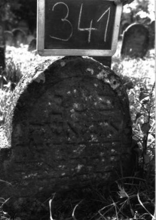 Grabstein 341 (Index: 100103064) Material: Sandstein Zustand: leicht verwittert, eingesunken, weitgehender Textverlust Maße HxBxT: 60x48x13 cm Beschreibung: Stele, eingezogener Rundbogenabschluss, Schriftfeld eingetieft: Grabstein 341 (Detailaufnahme)